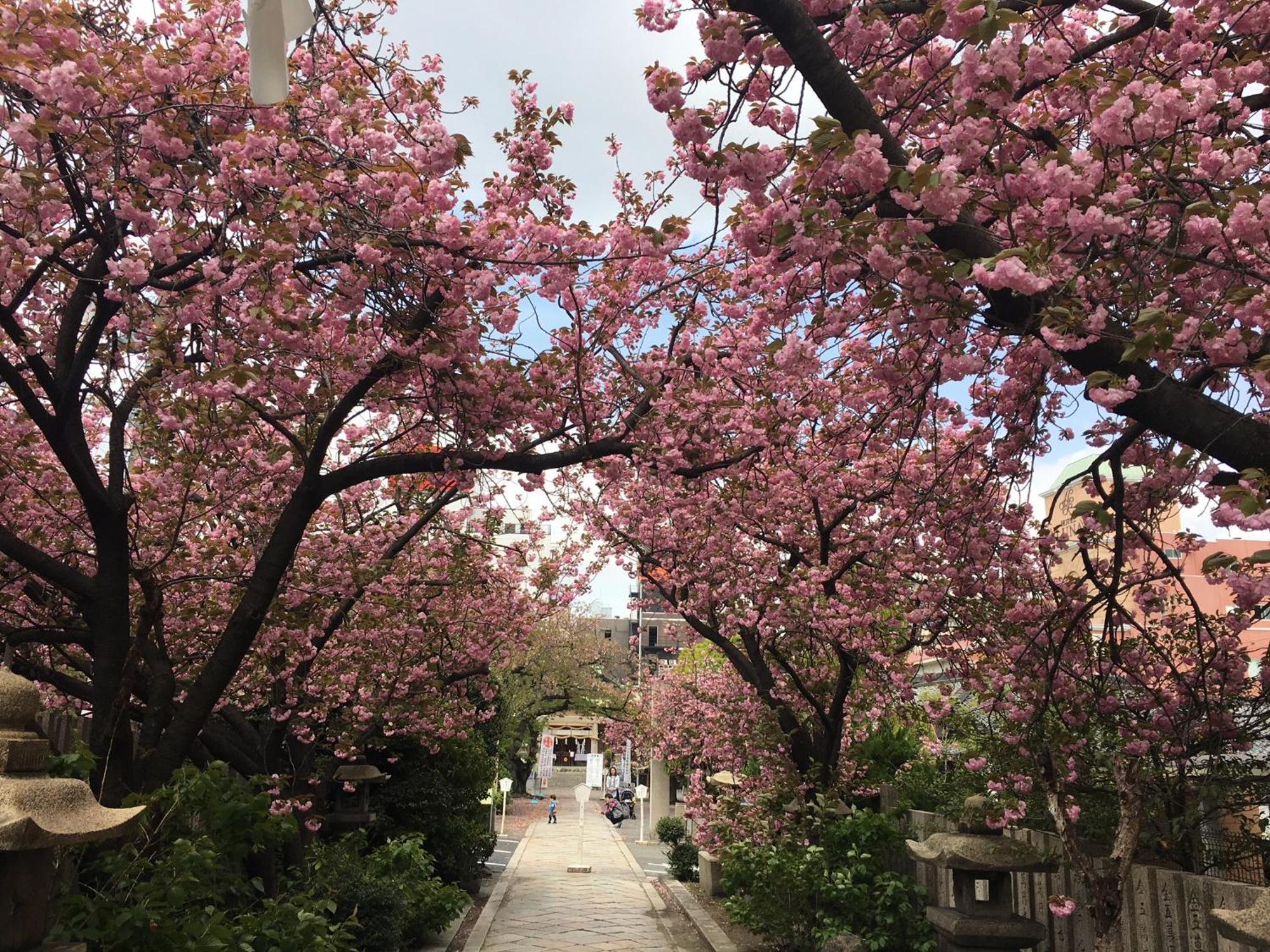 Noah Grande (Adults Only) Otel Osaka Dış mekan fotoğraf