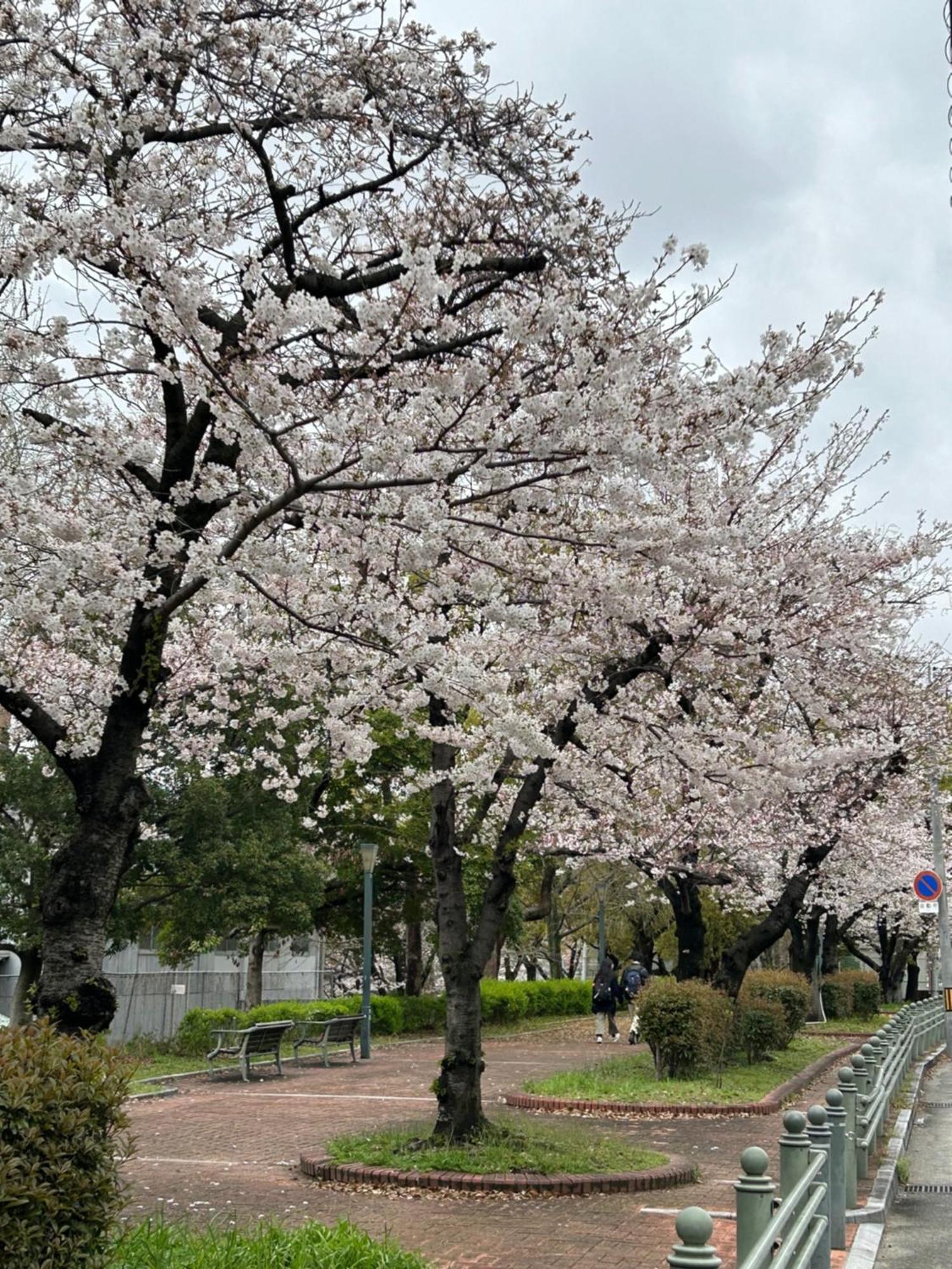 Noah Grande (Adults Only) Otel Osaka Dış mekan fotoğraf