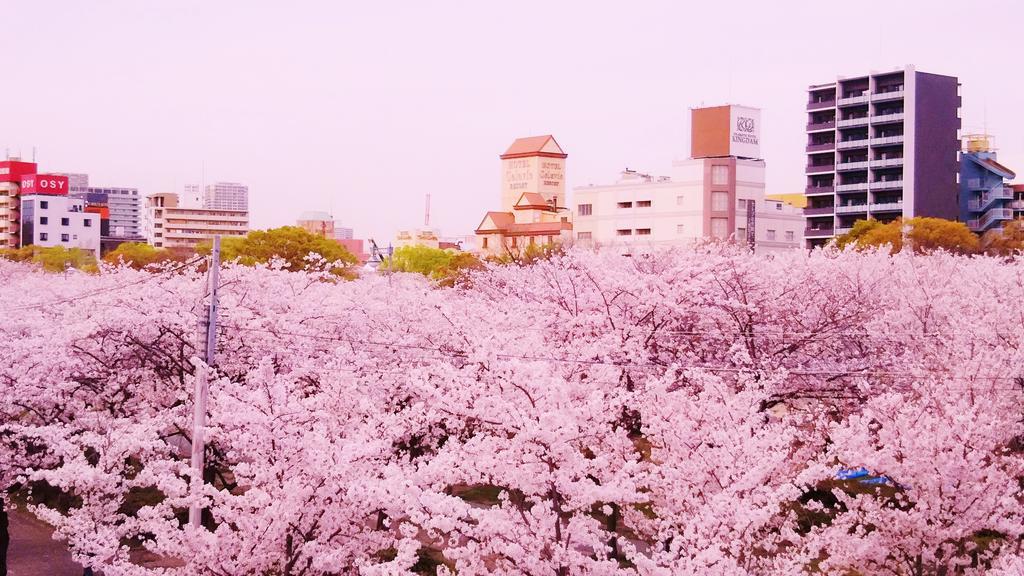 Noah Grande (Adults Only) Otel Osaka Dış mekan fotoğraf